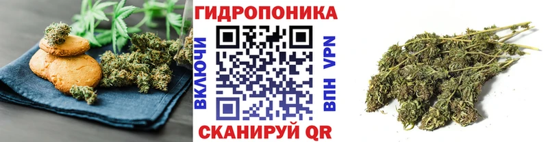 где купить наркоту  Ноябрьск  Печенье с ТГК марихуана 