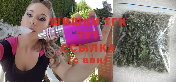крисы Дубна