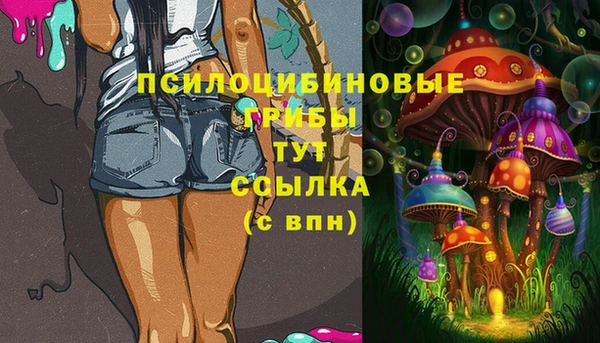 дурь Протвино