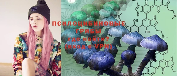 каннабис Дубовка