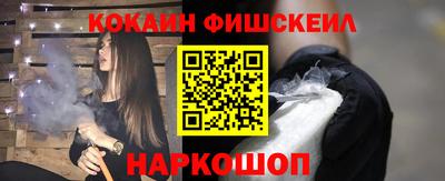 мдпв Кингисепп