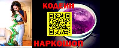 мдпв Кингисепп