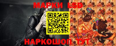 мдпв Кингисепп