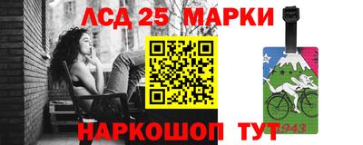 мдпв Кингисепп