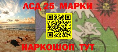 мдпв Кингисепп