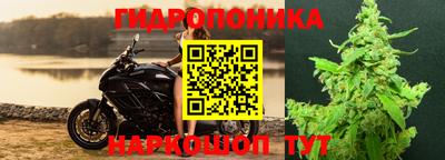 мдпв Кингисепп