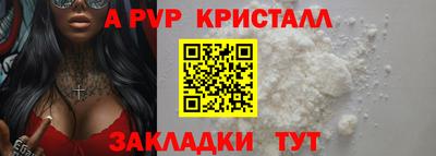 мдпв Кингисепп