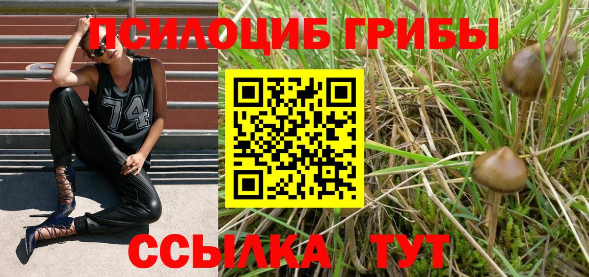Галлюциногенные грибы Magic Shrooms  Вход с VPN  Ноябрьск 