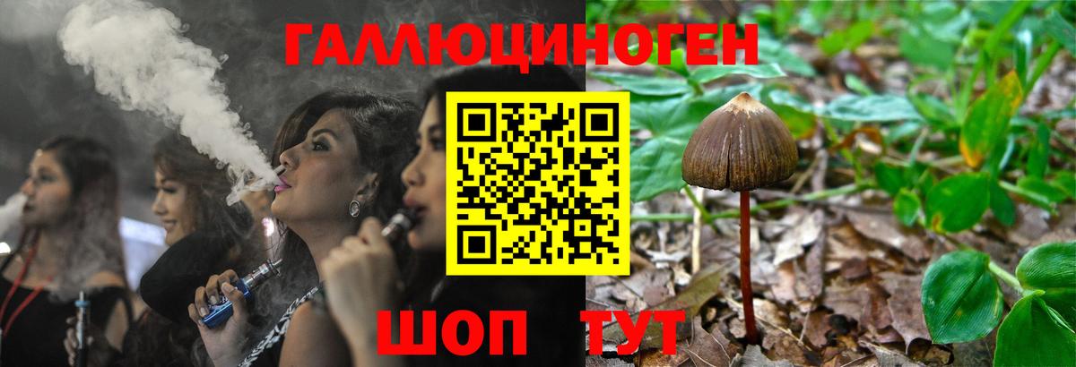 Псилоцибиновые грибы Psilocybe Ноябрьск