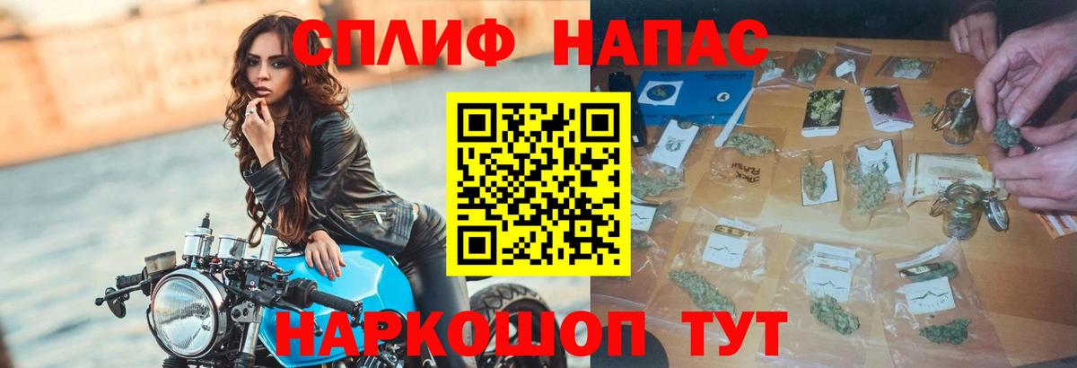 Шишки марихуана семена Ноябрьск
